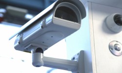 Etiam commodo convallis